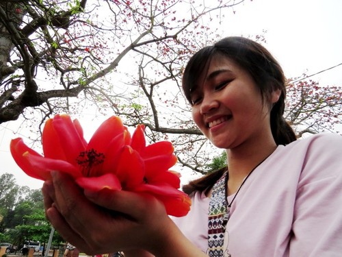 Algodonero rojo, princesa de las flores de ciudad portuaria de Hai Phong - ảnh 9
