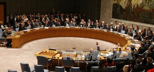 Consejo de Seguridad de la ONU pide un plan de paz para Yemen - ảnh 1