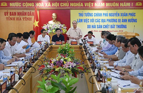 Vietnam continúa superando consecuencias de muerte de peces en costas centrales - ảnh 1