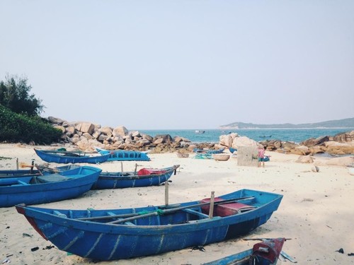 Bienvenidos a isla Robinson, nuevo destino turístico de aventura de Vietnam - ảnh 1