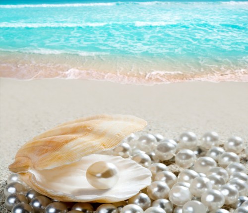 La isla de perla de Phu Quoc, destino ideal en el suroeste de Vietnam - ảnh 3