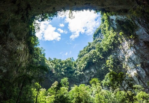 Son Doong, la cueva más grande del mundo - ảnh 9