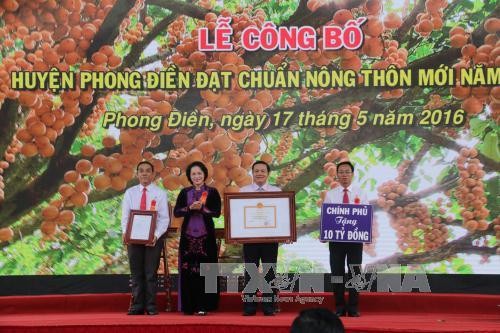 Distrito sureño de Phong Dien sigue inmerso en la renovación rural - ảnh 1