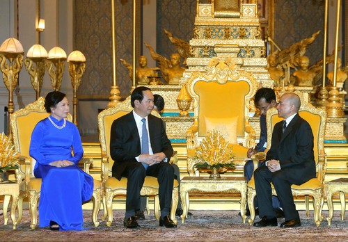 Presidente de Vietnam se entrevista con el rey de Camboya, Norodom Sihamoni - ảnh 1