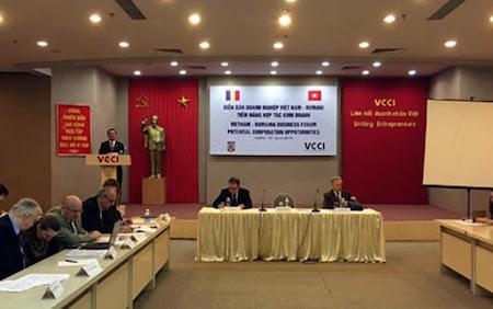 Impulsan cooperación empresarial entre Vietnam y Rumania  - ảnh 1