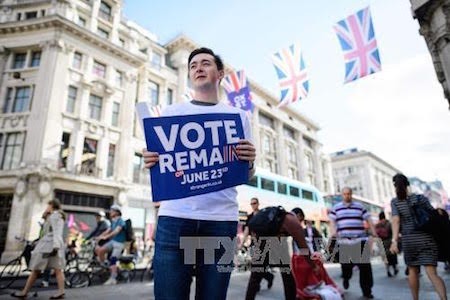 David Cameron urgió a británicos a votar por la permanencia del Reino Unido en la UE - ảnh 1