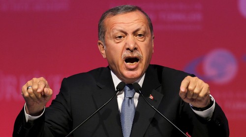 Erdogan dice a Occidente que se ocupe “de sus propios asuntos” - ảnh 1