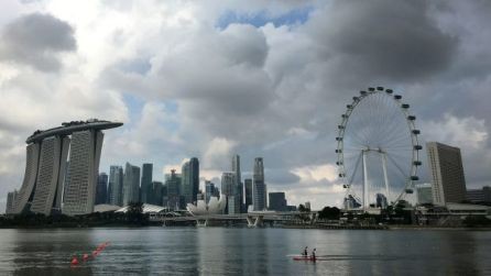 Singapur exige mayor vigilancia después del frustrado ataque terrorista  - ảnh 1