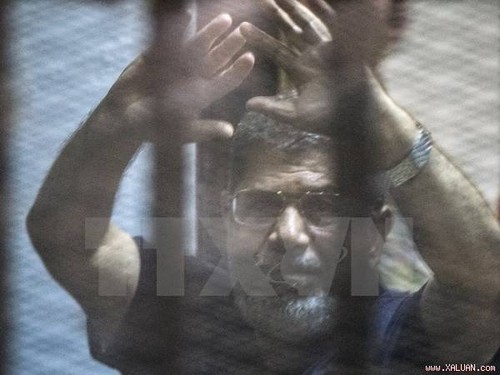 Egipto confisca fondos del ex presidente Mursi y de 200 miembros de “Hermanos Musulmanes” - ảnh 1