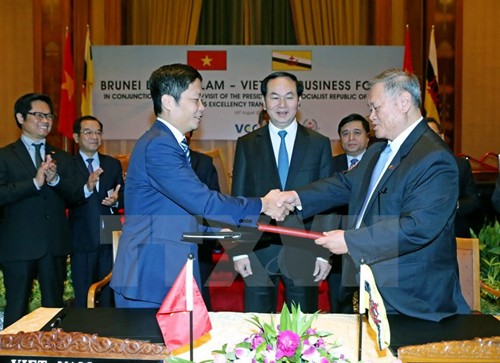 Vietnam y Brunei abogan por impulsar cooperación empresarial - ảnh 1