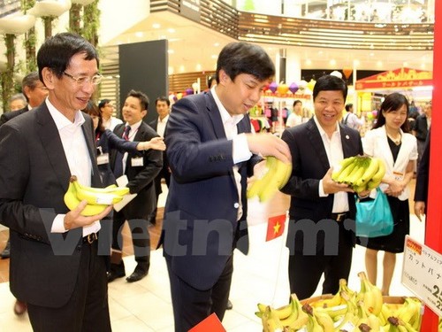 Grupo japonés ayuda a empresas vietnamitas a acceder a su mercado - ảnh 1
