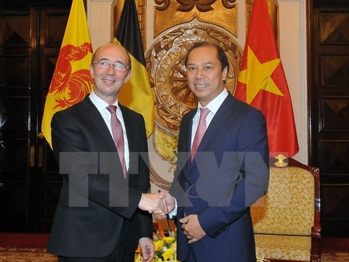 Vietnam y Valonia-Bruselas impulsan despliegue de proyectos de cooperación - ảnh 1