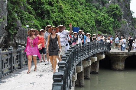 Promueven mayor contribución del turismo nacional al PIB en Vietnam - ảnh 1