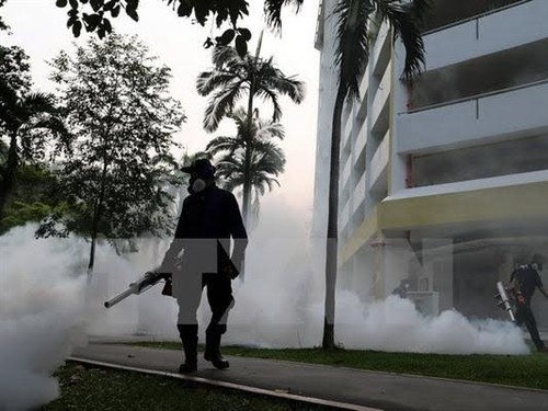 OMS advierte que el Zika seguirá aumentando en Asia-Pacífico - ảnh 1
