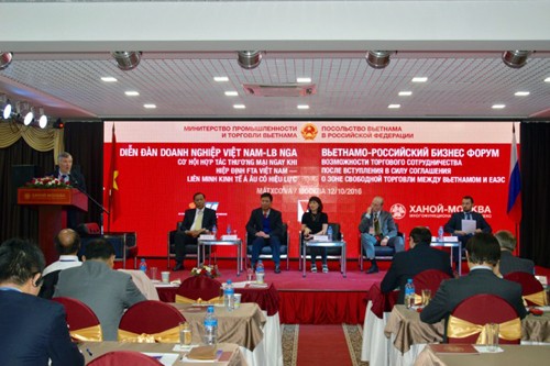 Consolidan Vietnam y Rusia cooperación comercial e inversionista - ảnh 1