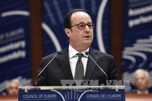 Hollande plantea organizar una cumbre sobre el conflicto entre Ucrania y Rusia - ảnh 1