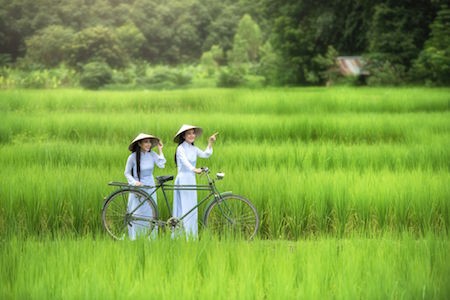 Modelos tailandesas en traje tradicional vietnamita - ảnh 3