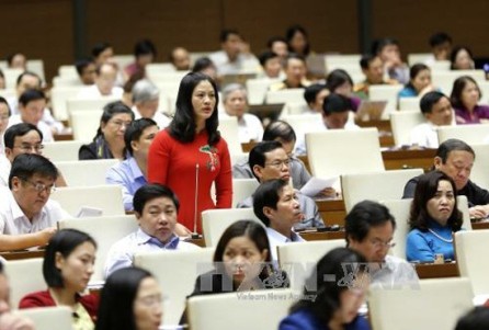 Diputados vietnamitas examinan borrador de modificación de Código Penal - ảnh 1