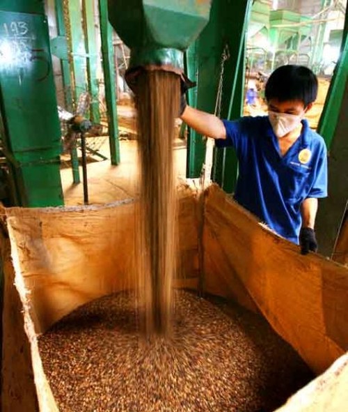  Dak Lak avanza hacia el cultivo sostenible de café  - ảnh 2