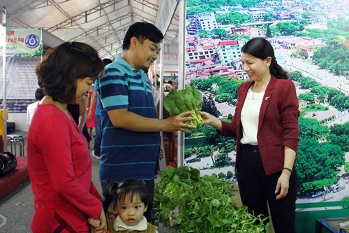 Inaugurada Feria de productos ventajosos de localidades vietnamitas - ảnh 1