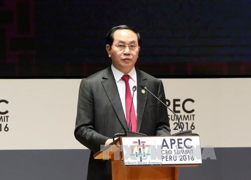 Presidente vietnamita asisten a actividades de la Cumbre de APEC en Perú - ảnh 1