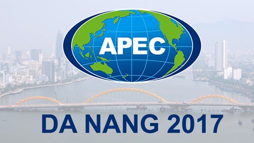 APEC 2017 afirma prestigio de Vietnam en palestra internacional - ảnh 1