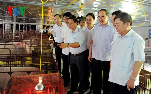 Vietnam por desarrollar cooperativas agrarias de nueva generación - ảnh 2