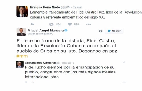 Países latinoamericanos e India lamentan deceso de Fidel  - ảnh 1