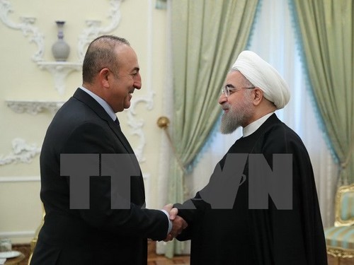 Irán interesado en cooperar con Turquía para la solución de problemas de Siria e Irak - ảnh 1