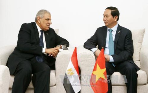Presidente vietnamita finaliza visitas a países y asistencia a Cumbres de APEC y de la Francofonía - ảnh 1
