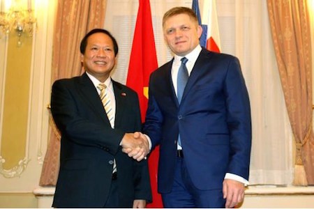 Vietnam y Eslovaquia estrechan relaciones de cooperación - ảnh 1