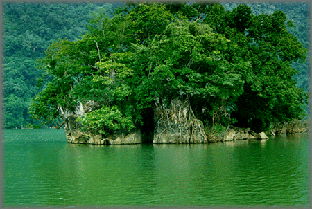 Parque Nacional de Ba Be, destino ecoturístico del norte vietnamita - ảnh 3