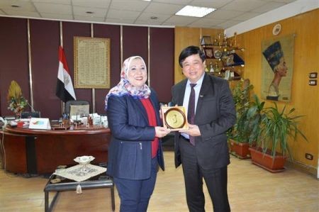 Vietnam y Egipto impulsan cooperación en radiodifusión - ảnh 1