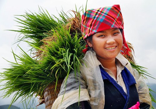 Vietnam aprovecha recursos culturales para desarrollo sostenible  - ảnh 3