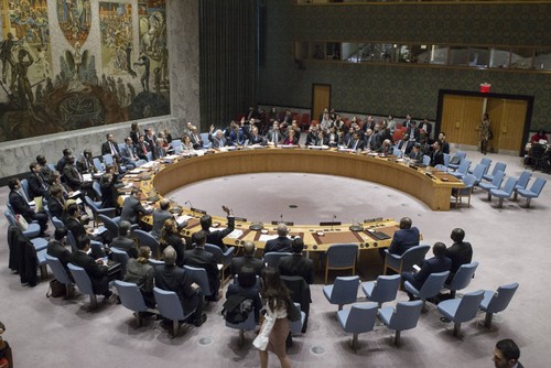 ONU exige a Israel detener actividades de asentamiento en territorios palestinos - ảnh 1
