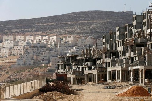 Palestinos saludan resolución del Consejo de Seguridad de la ONU sobre los asentamientos israelíes - ảnh 1