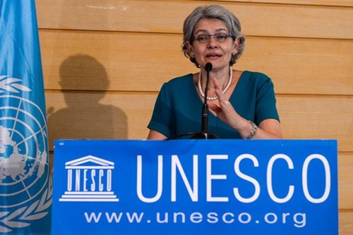 Unesco apoyará reinserción de las FARC-EP a la educación - ảnh 1