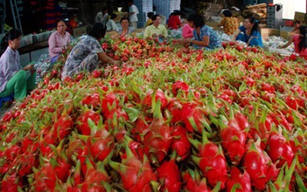 Vietnam por incrementar exportaciones de frutas y vegetales - ảnh 1