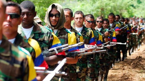 Guerrilla colombiana inicia proceso de registro y entrega de armas - ảnh 1