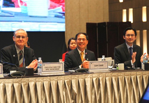APEC promueve apoyos al pueblo y empresariado  - ảnh 1