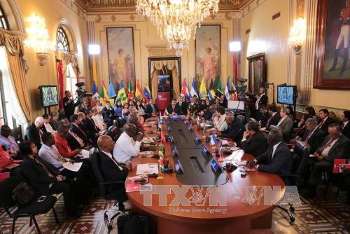 Inician en Venezuela XIV Cumbre de ALBA  - ảnh 1