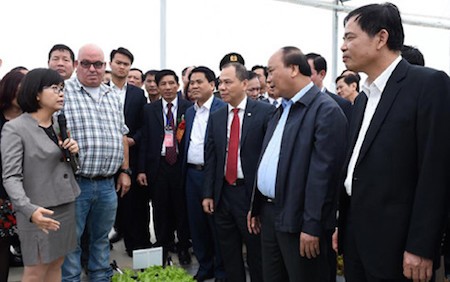 Provincia norteña de Ha Nam promueve agricultura de alta tecnología - ảnh 1