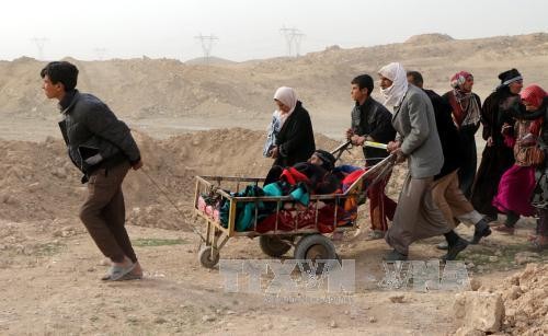 Iraq retoma más de un tercio de la zona occidental de la ciudad de Mosul - ảnh 1