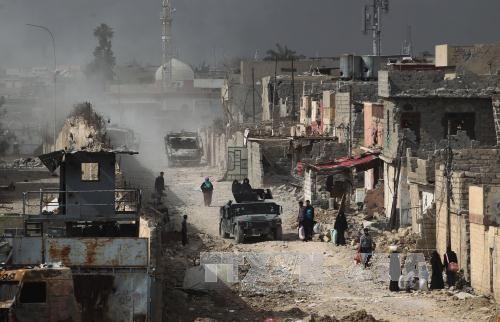 Entra en fase final recuperación de Oeste de Mosul tomado por EI - ảnh 1