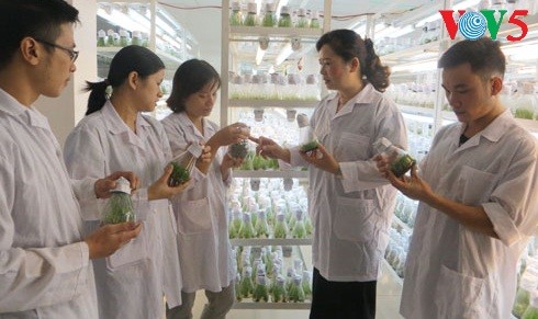 Investigadoras vietnamitas apasionadas de la ciencia - ảnh 1