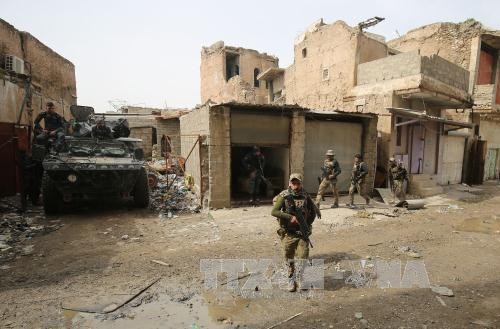 Fuerzas de seguridad iraquíes liberan otros puntos de Mosul - ảnh 1