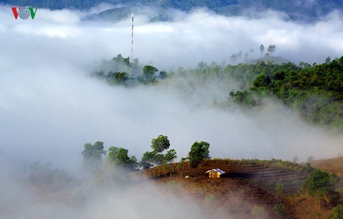 Meseta de Sin Ho, una belleza natural de la región del noroeste de Vietnam - ảnh 1
