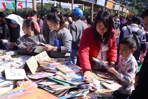 Por mayor participación del sector privado en la promoción de la lectura en Vietnam - ảnh 2