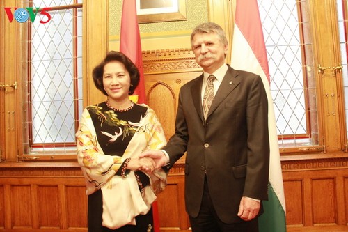 Vietnam y Hungría por elevar relaciones bilaterales en todos los sectores - ảnh 1