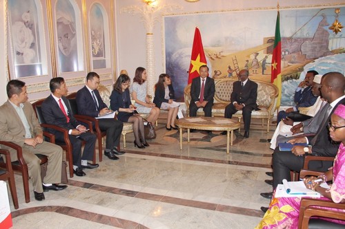 Vietnam y Camerún avanzan hacia aniversario 45 de sus relaciones diplomáticas - ảnh 1